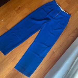 Aritzia Blue effortless pants